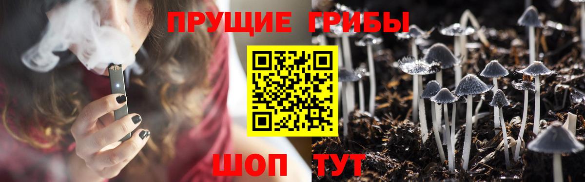 Галлюциногенные грибы Psilocybe  Вход с VPN  Псилоцибиновые грибы Psilocybe  Кудрово 